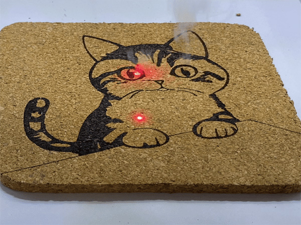 ガルバノ式とプロッタ式の違いを動画で比較